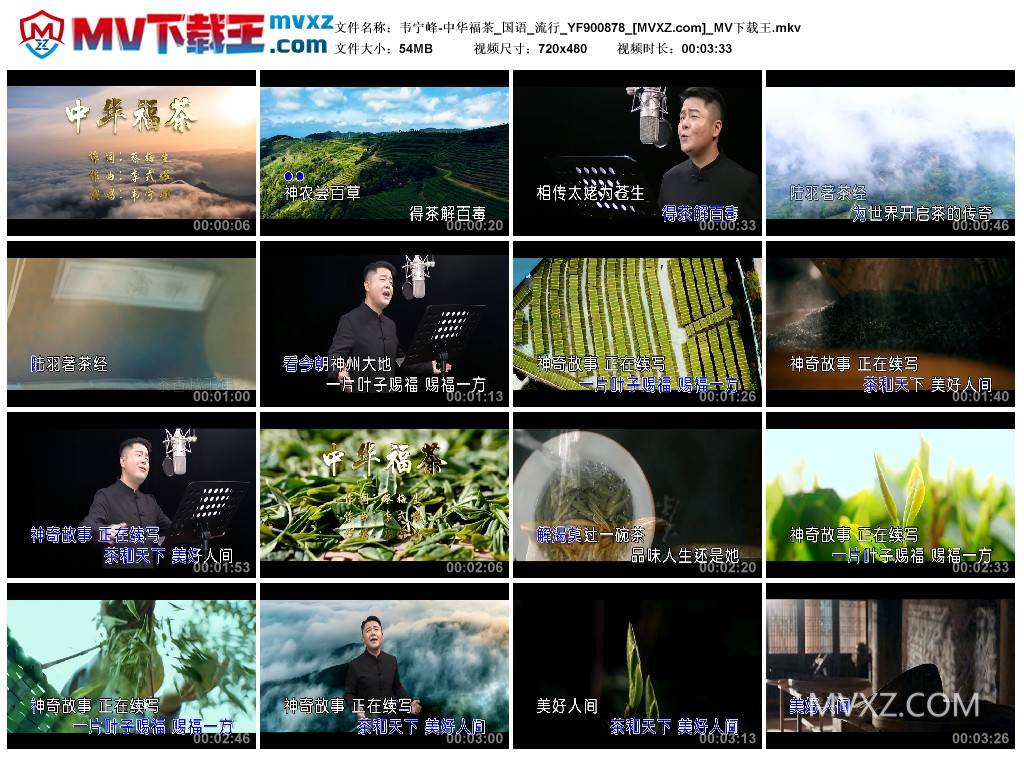 韦宁峰-中华福茶_国语_流行_YF900878